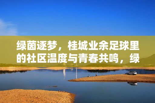 绿茵逐梦,桂城业余足球里的社区温度与青春共鸣,绿茵逐梦,桂城业余足球里的社区温度与青春共鸣