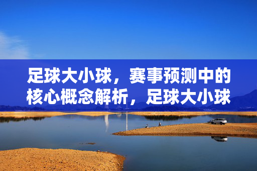 足球大小球,赛事预测中的核心概念解析,足球大小球,赛事预测中的核心概念解析