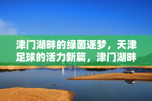 津门湖畔的绿茵逐梦,天津足球的活力新篇,津门湖畔的绿茵逐梦,天津足球的活力新篇