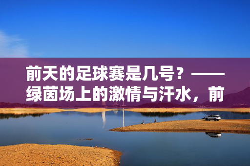 前天的足球赛是几号？——绿茵场上的激情与汗水，前天的足球赛是几号？——绿茵场上的激情与汗水