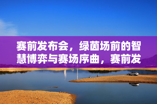 赛前发布会，绿茵场前的智慧博弈与赛场序曲，赛前发布会，绿茵场前的智慧博弈与赛场序曲