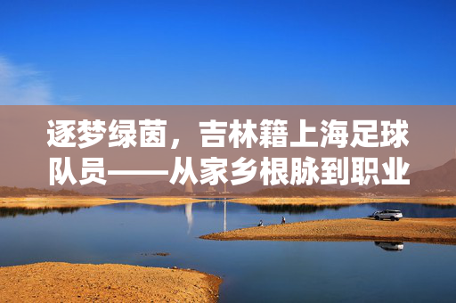 逐梦绿茵，吉林籍上海足球队员——从家乡根脉到职业赛场的不凡征程，逐梦绿茵，吉林籍上海足球队员，从家乡根脉到职业赛场的不凡征程