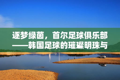 逐梦绿茵，首尔足球俱乐部——韩国足球的璀璨明珠与城市荣耀，逐梦绿茵，首尔足球俱乐部——韩国足球的璀璨明珠与城市荣耀