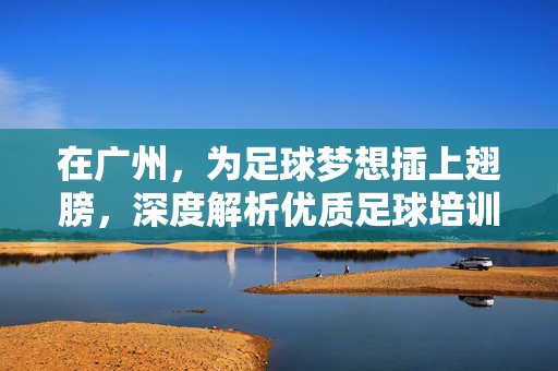在广州，为足球梦想插上翅膀，深度解析优质足球培训机构的选择指南，广州足球梦想的翅膀，深度解析优质足球培训机构的选择指南
