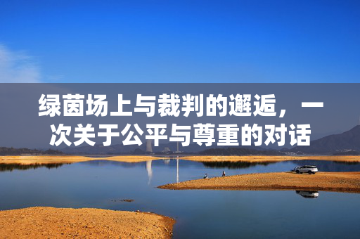 绿茵场上与裁判的邂逅，一次关于公平与尊重的对话