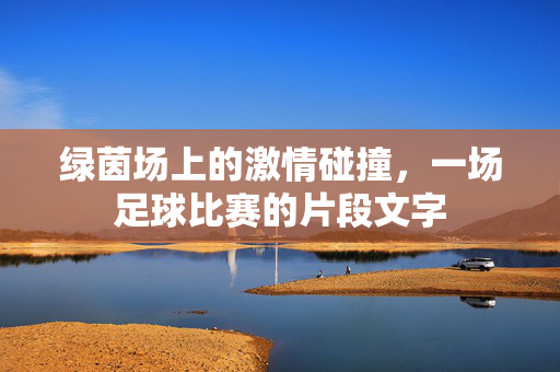 绿茵场上的激情碰撞，一场足球比赛的片段文字