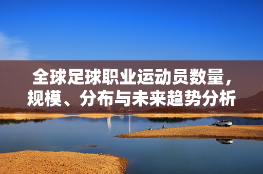 全球足球职业运动员数量，规模、分布与未来趋势分析