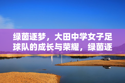 绿茵逐梦，大田中学女子足球队的成长与荣耀，绿茵逐梦，大田中学女子足球队的成长与荣耀