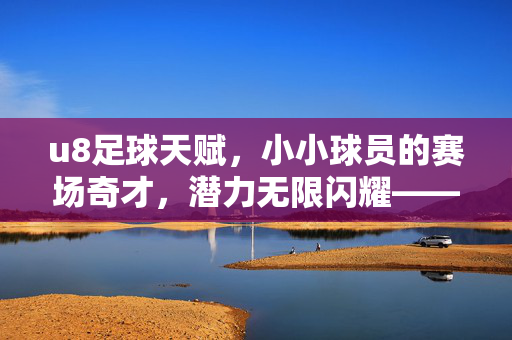 u8足球天赋，小小球员的赛场奇才，潜力无限闪耀——解码8岁足球小将的多样天赋类型