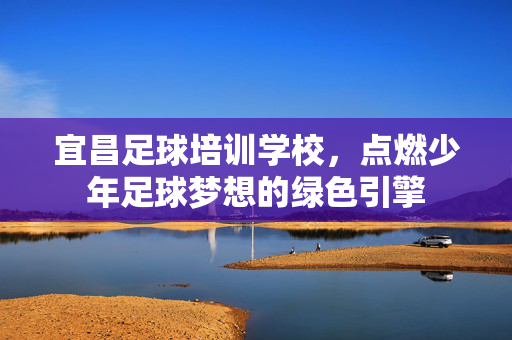 宜昌足球培训学校，点燃少年足球梦想的绿色引擎