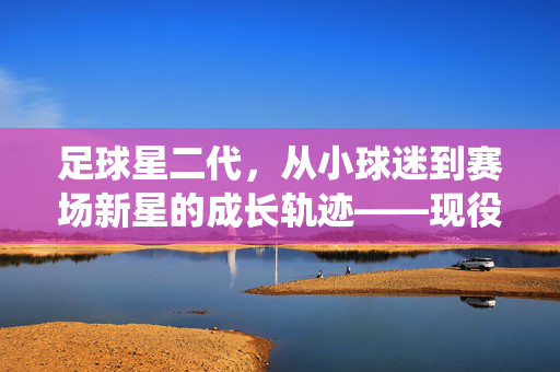 足球星二代，从小球迷到赛场新星的成长轨迹——现役足球明星儿子的足球梦与家庭影响