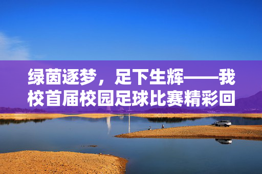 绿茵逐梦，足下生辉——我校首届校园足球比赛精彩回顾