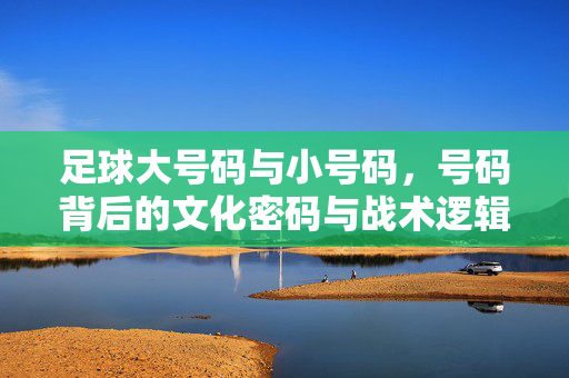 足球大号码与小号码，号码背后的文化密码与战术逻辑