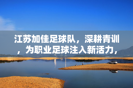 江苏加佳足球队，深耕青训，为职业足球注入新活力，江苏加佳足球队深耕青训，为职业足球注入新活力