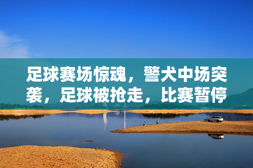 足球赛场惊魂，警犬中场突袭，足球被抢走，比赛暂停瞬间