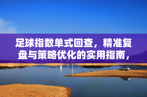 足球指数单式回查，精准复盘与策略优化的实用指南，足球指数单式回查，精准复盘与策略优化的实用指南