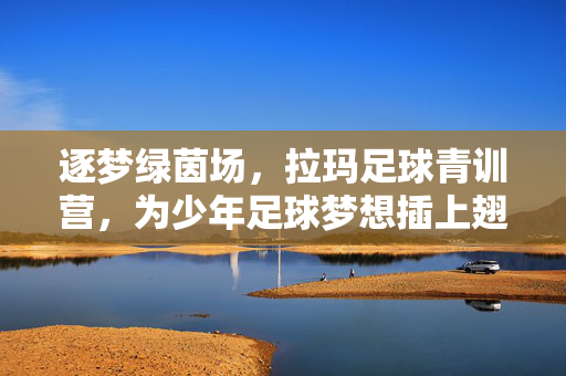 逐梦绿茵场，拉玛足球青训营，为少年足球梦想插上翅膀