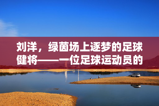 刘洋，绿茵场上逐梦的足球健将——一位足球运动员的奋斗与成长，刘洋，绿茵场上逐梦的足球健将——奋斗与成长的轨迹