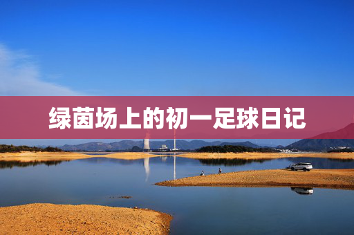 绿茵场上的初一足球日记