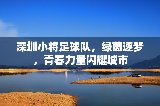 深圳小将足球队，绿茵逐梦，青春力量闪耀城市