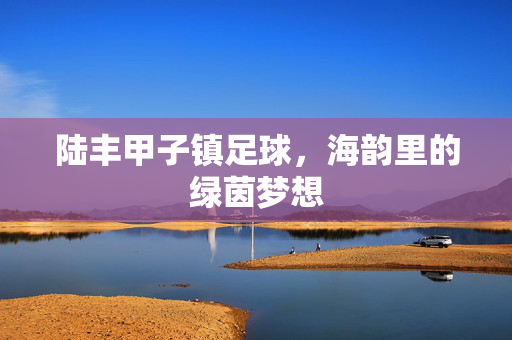 陆丰甲子镇足球，海韵里的绿茵梦想