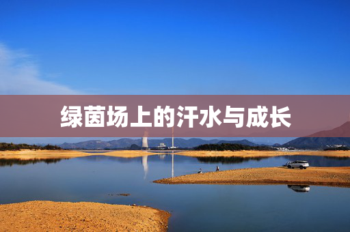 绿茵场上的汗水与成长
