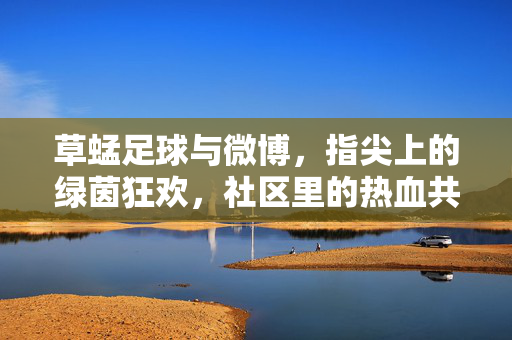 草蜢足球与微博，指尖上的绿茵狂欢，社区里的热血共鸣