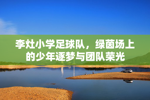 李灶小学足球队，绿茵场上的少年逐梦与团队荣光