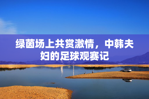 绿茵场上共赏激情，中韩夫妇的足球观赛记