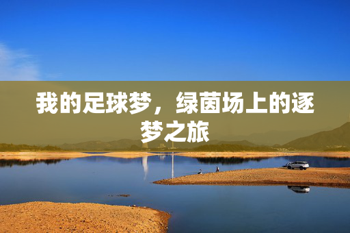 我的足球梦,绿茵场上的逐梦之旅
