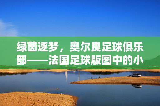 绿茵逐梦，奥尔良足球俱乐部——法国足球版图中的小而美力量，绿茵逐梦，奥尔良足球俱乐部——法国足球版图中的小而美力量