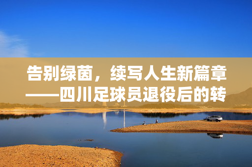 告别绿茵,续写人生新篇章——四川足球员退役后的转型与生活变迁,告别绿茵,续写人生新篇章——四川足球员退役后的转型与生活变迁