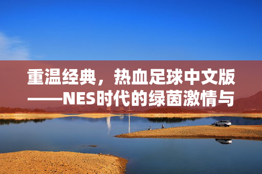 重温经典，热血足球中文版——NES时代的绿茵激情与像素里的青春梦想
