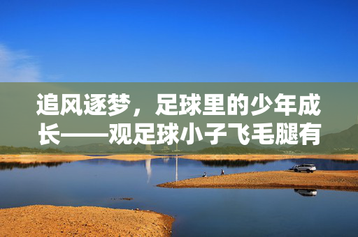 追风逐梦，足球里的少年成长——观足球小子飞毛腿有感，追风逐梦，足球里的少年成长——观足球小子飞毛腿有感