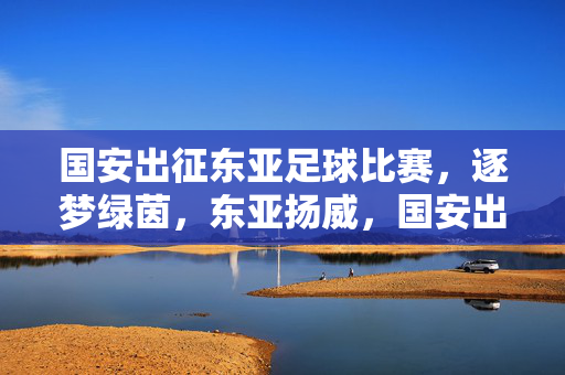 国安出征东亚足球比赛，逐梦绿茵，东亚扬威，国安出征东亚足球比赛 逐梦绿茵扬威东亚