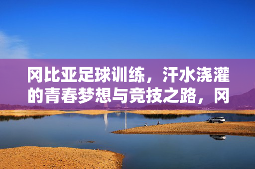 冈比亚足球训练，汗水浇灌的青春梦想与竞技之路，冈比亚足球训练，汗水浇灌的青春梦想与竞技之路