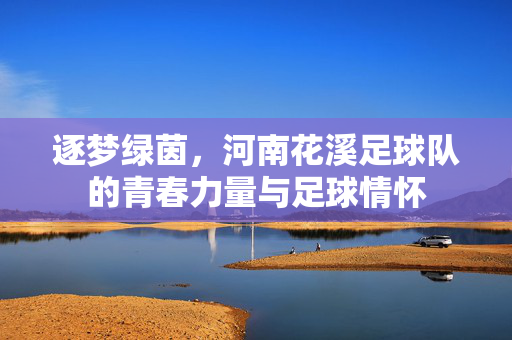 逐梦绿茵，河南花溪足球队的青春力量与足球情怀