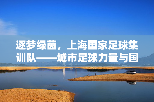 逐梦绿茵，上海国家足球集训队——城市足球力量与国家荣誉的交汇点