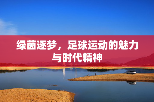 绿茵逐梦，足球运动的魅力与时代精神