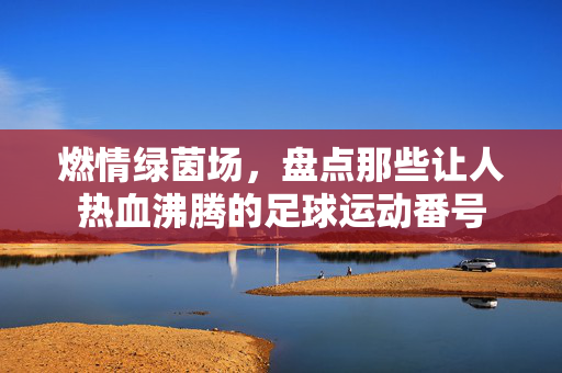 燃情绿茵场，盘点那些让人热血沸腾的足球运动番号
