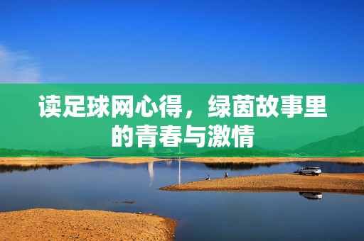 读足球网心得，绿茵故事里的青春与激情