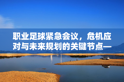 职业足球紧急会议，危机应对与未来规划的关键节点——职业足球联盟紧急会议核心议题解析