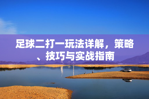 足球二打一玩法详解，策略、技巧与实战指南