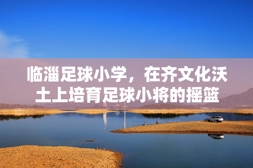 临淄足球小学，在齐文化沃土上培育足球小将的摇篮