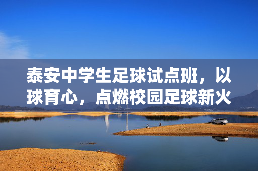 泰安中学生足球试点班，以球育心，点燃校园足球新火种