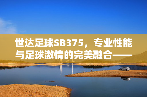 世达足球SB375，专业性能与足球激情的完美融合——解析这款足球训练利器