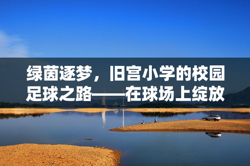 绿茵逐梦，旧宫小学的校园足球之路——在球场上绽放的青春与希望