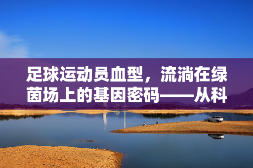 足球运动员血型，流淌在绿茵场上的基因密码——从科学视角解析血型与运动表现的关联，足球运动员血型，流淌在绿茵场上的基因密码——科学视角解析血型与运动表现的关联