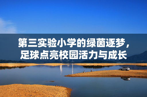 第三实验小学的绿茵逐梦，足球点亮校园活力与成长