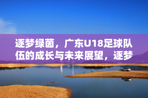 逐梦绿茵，广东U18足球队伍的成长与未来展望，逐梦绿茵，广东U18足球队伍的成长与未来展望